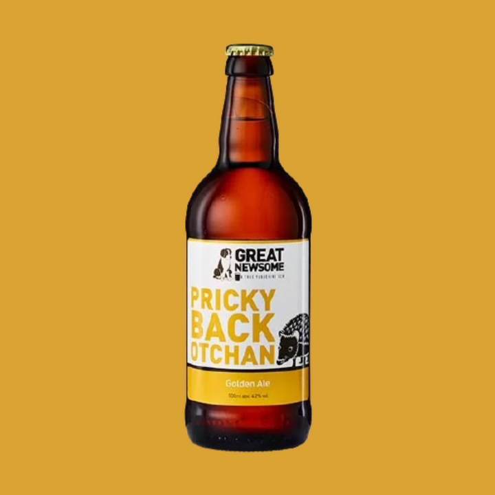 Great Newsome | Pricky Back Otchan  | Buy Craft Beer Online | Golden Beer